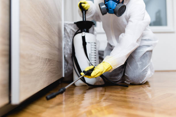 Best Local Pest Control Services  in Rio Dell, CA