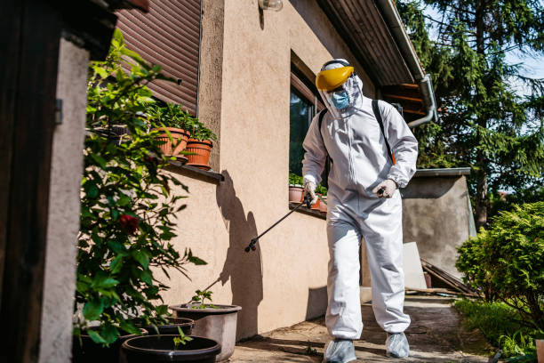 Best Residential Pest Control  in Rio Dell, CA