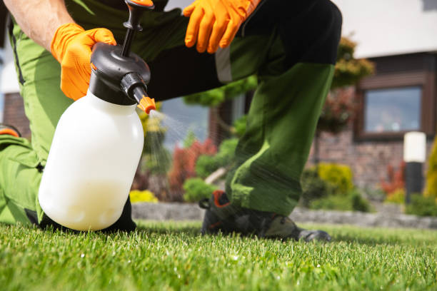 Trusted Rio Dell, CA Pest Control Experts