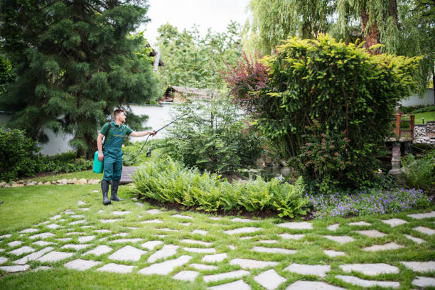 Best Local Pest Control Services  in Rio Dell, CA