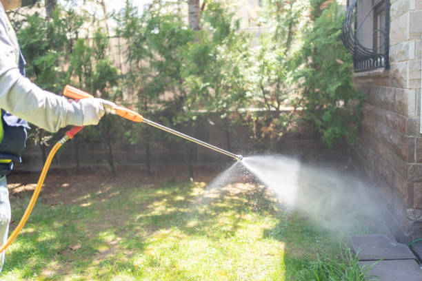 Best Wasp Removal Services  in Rio Dell, CA