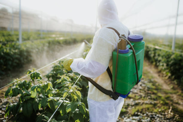 Insect Control in Rio Dell, CA